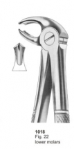  Fig. 22 lower molars 